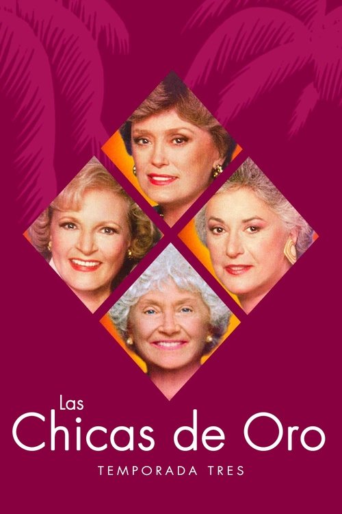 Póster de la temporada 3 de la serie Las chicas de oro