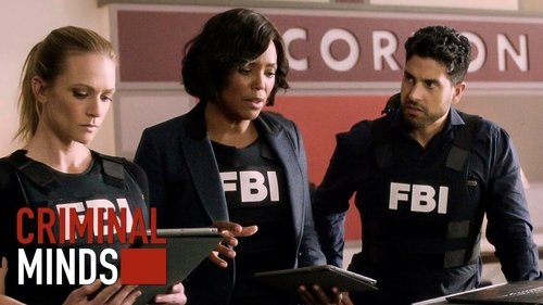 Criminal Minds: 13×19