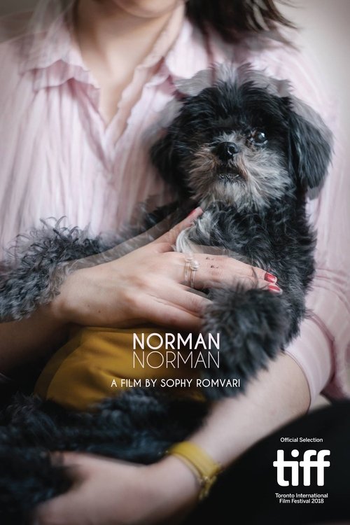 Norman Norman movie poster player