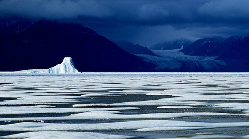 Planet Earth S01E06 — Ice Worlds episode still