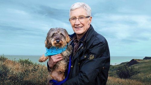For the Love of Dogs