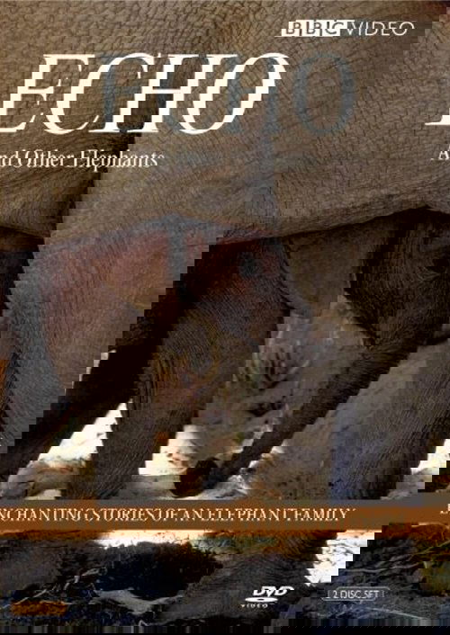 Echo of the Elephants, The Story of an Elephant Family poster