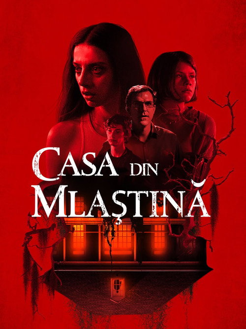 Casa din mlaștină