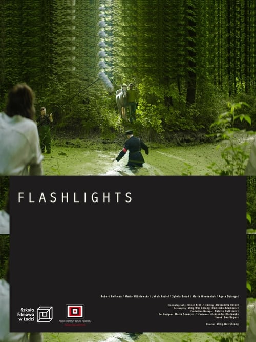 Flashlights (2021) Poster