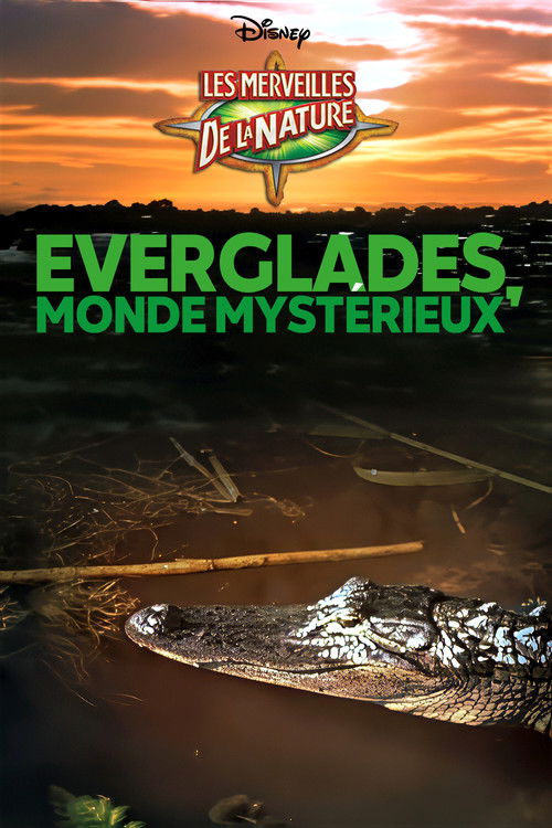Everglades, monde mystérieux