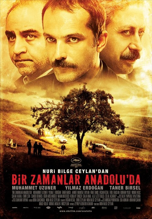 Once Upon a Time in Anatolia (2011)