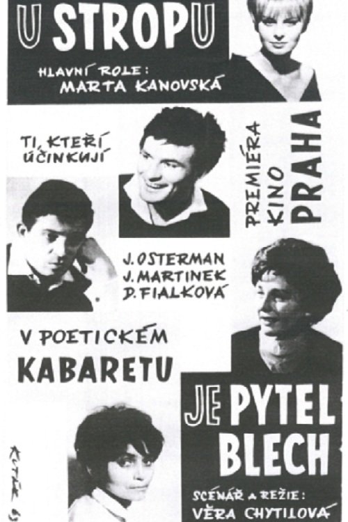 Assistir Pytel blech Online