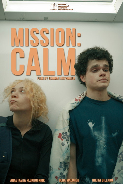 Mission: Calm poster