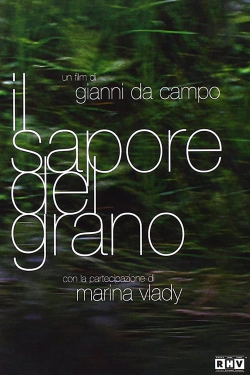 Il sapore del grano 1986