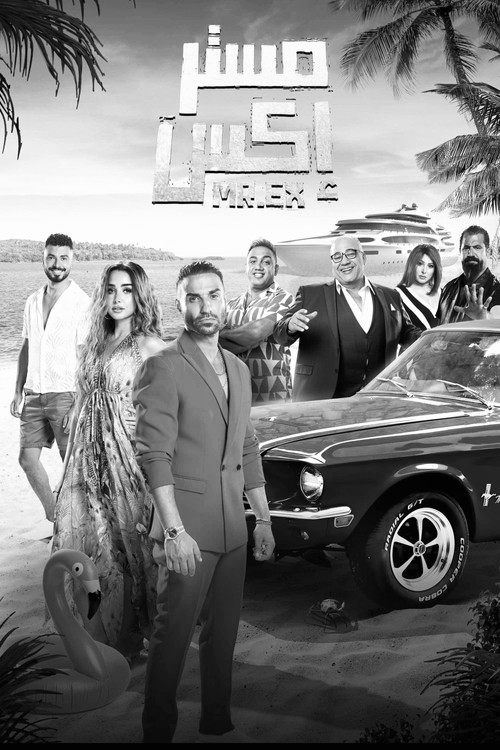 Mr. Ex poster