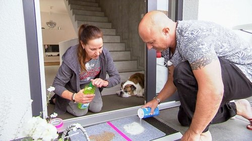 Image de l'épisode 15