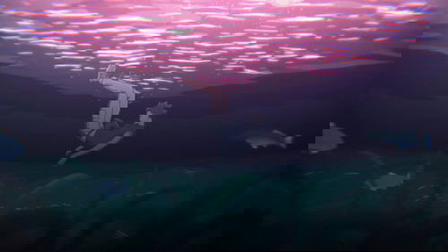 Backdrops