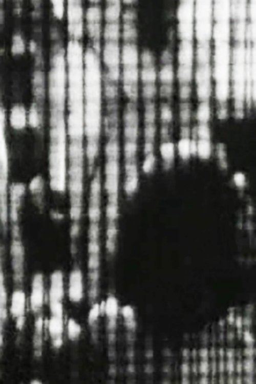 La vie complex (1995) poster