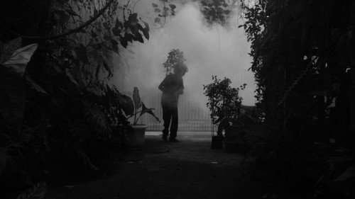 Sparrow in the Storm