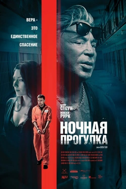 Ночная прогулка (2019)