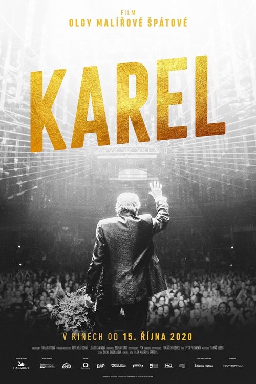 Karel movie poster player