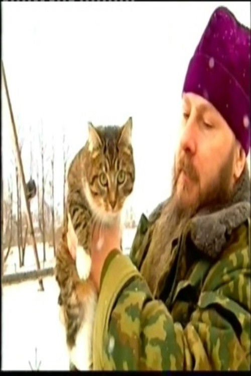 Народный сериал poster