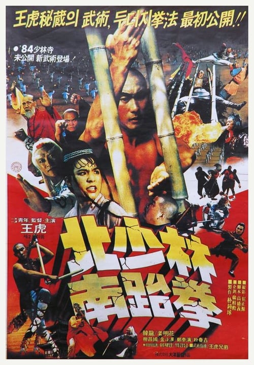 South Shaolin vs. North Shaolin 1984