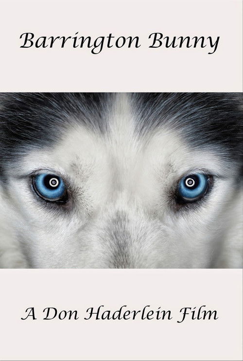 Barrington Bunny poster