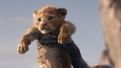 The Lion King (2019) Download Full HD ᐈ BemaTV