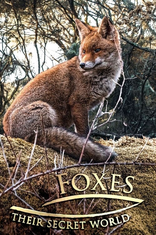 Poster Foxes: Their Secret World