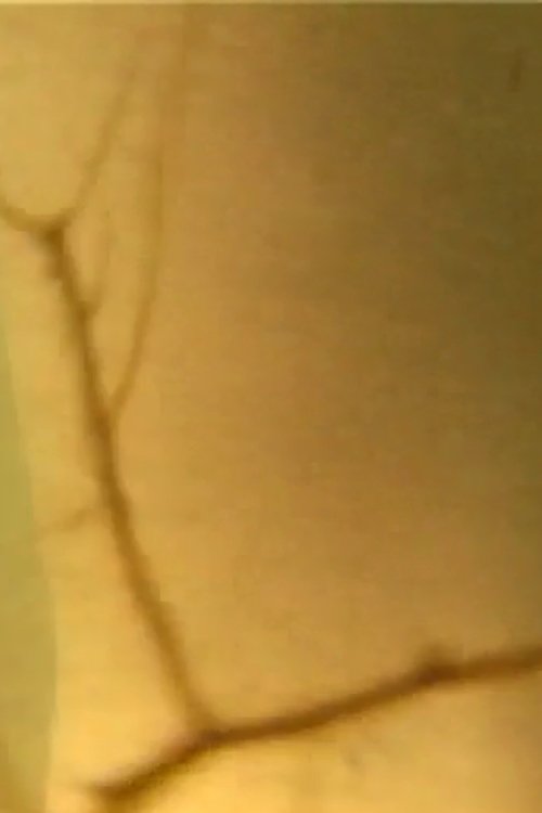 Blindsweet (2003) poster