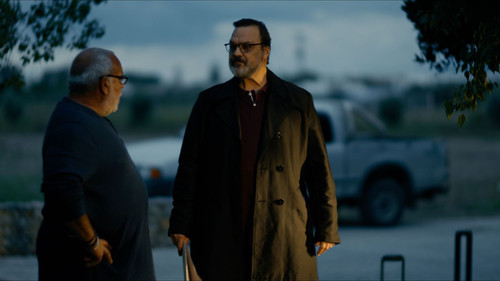 Secret of the Forest