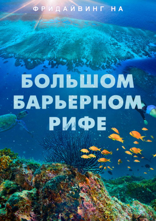 Фридайвинг на Большом Барьерном рифе