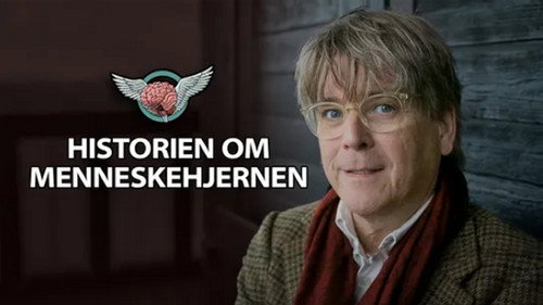 Historien om Menneskehjernen Bild 3