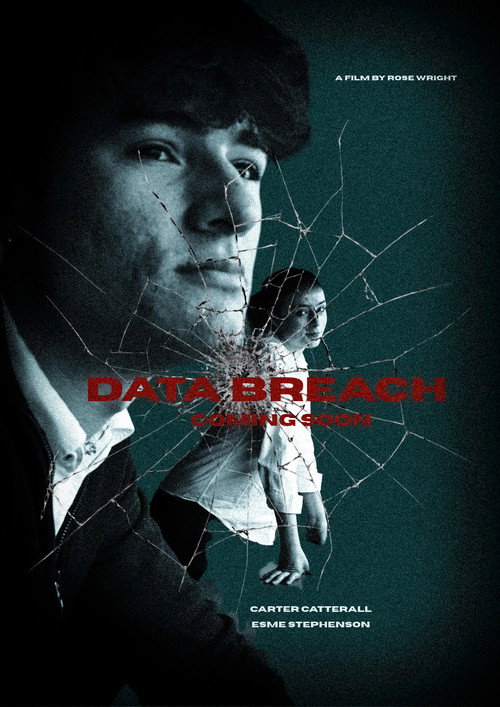 Data Breach poster