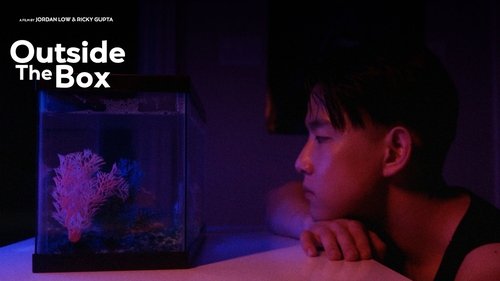 Outside The Box - Short Outside The Box - Short