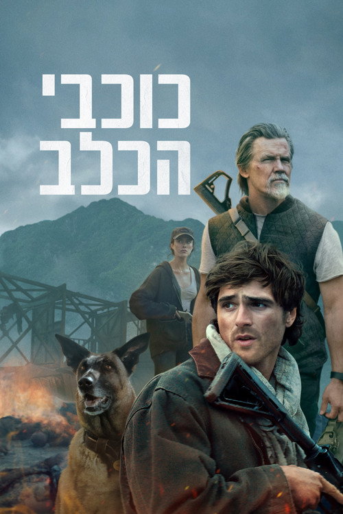 Poster כוכבי הכלב