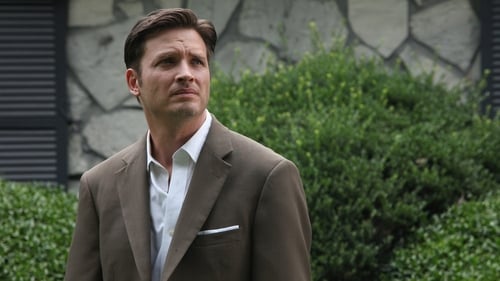 Rectify: 1×1