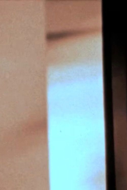 For the Instant Glance of the Moon