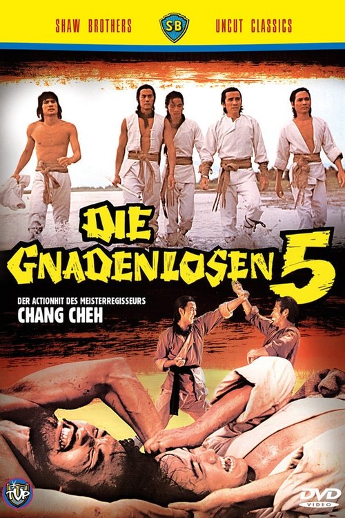 Die gnadenlosen 5 movie poster player
