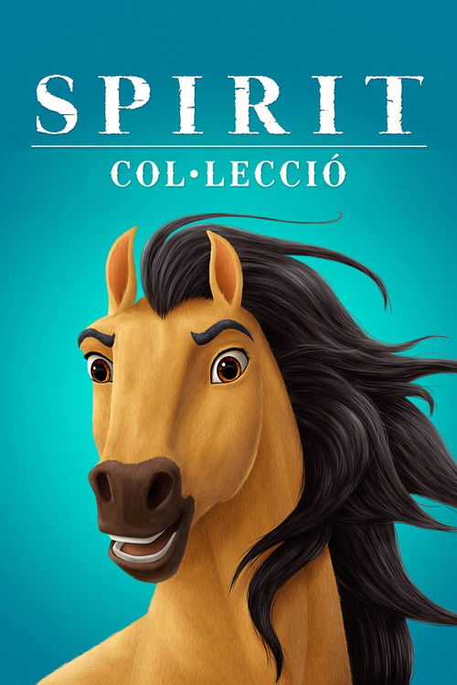 Pòster de Spirit - Col·lecció