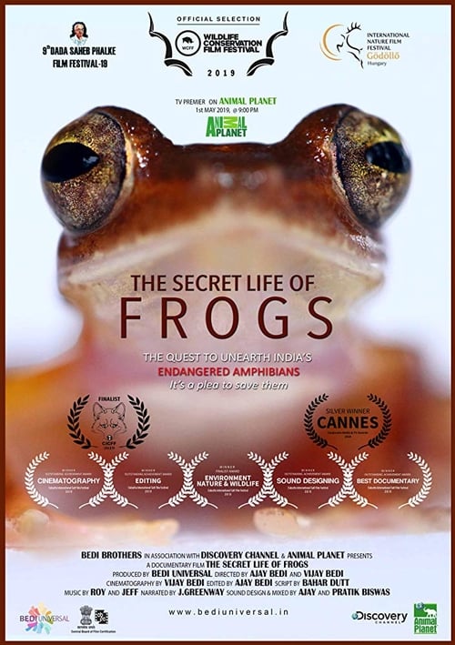 The Secret Life of Frogs 2018