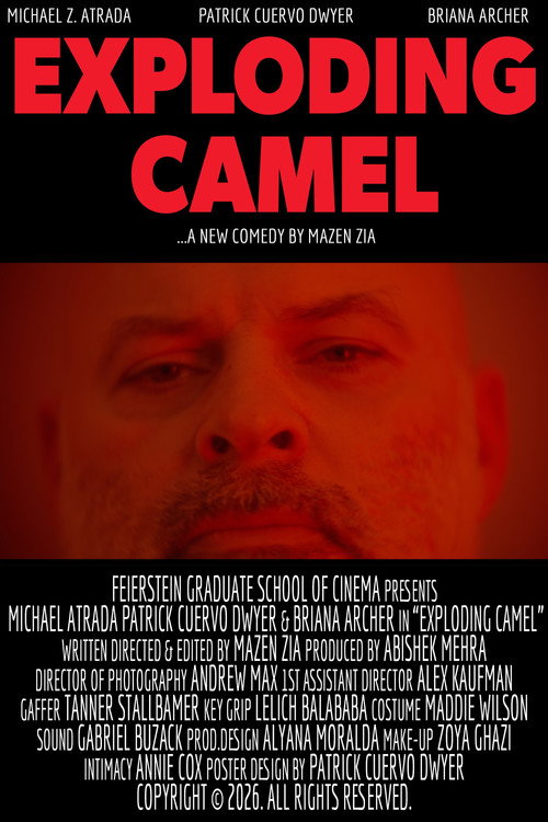 Exploding Camel