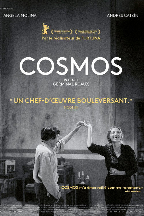 Cosmos poster