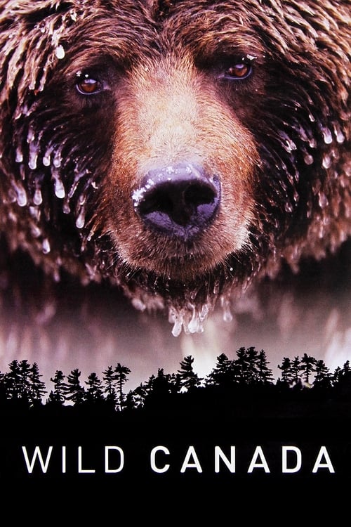 Poster Wild Canada