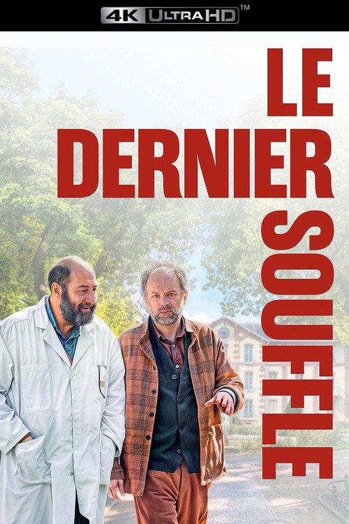 Before What Comes After poster