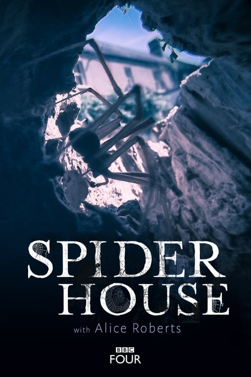 Spider House (2014) poster