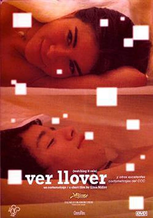 Poster Ver llover 2006