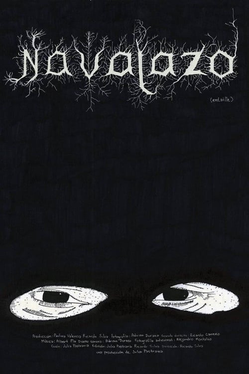 Navajazo poster