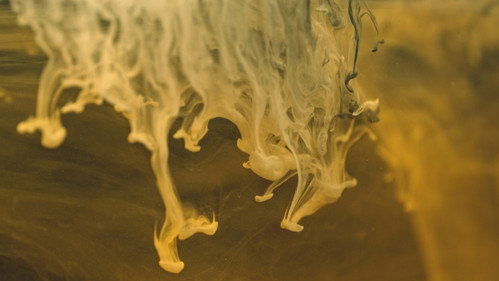Umbilical Cord Backdrop Blur