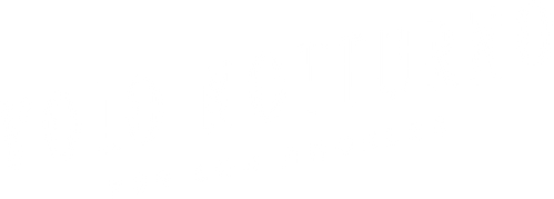 Volo notturno per Los Angeles official logo