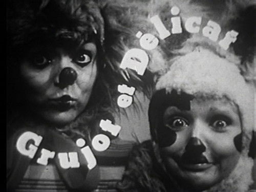 Image de l'épisode 11