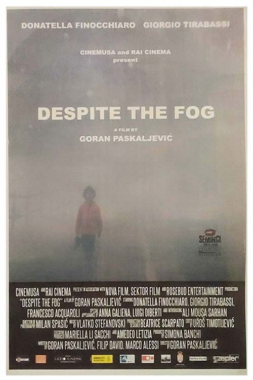 Despite the Fog 2019