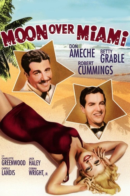 Moon Over Miami poster