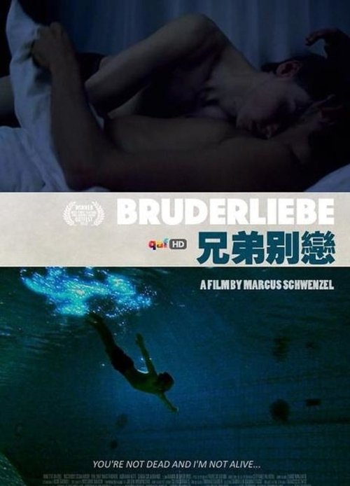 Bruderliebe poster